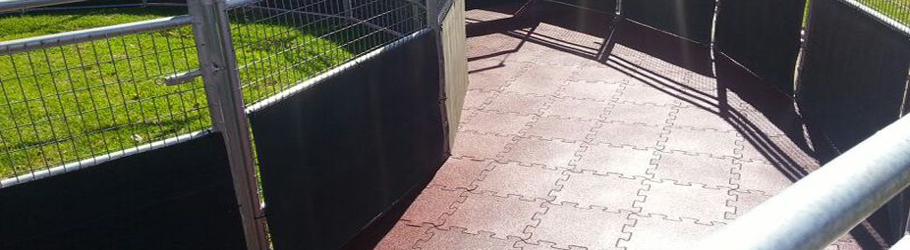 Horse Walker, Colombia - Versatile™ ZXT Rubber Interlocking Tiles